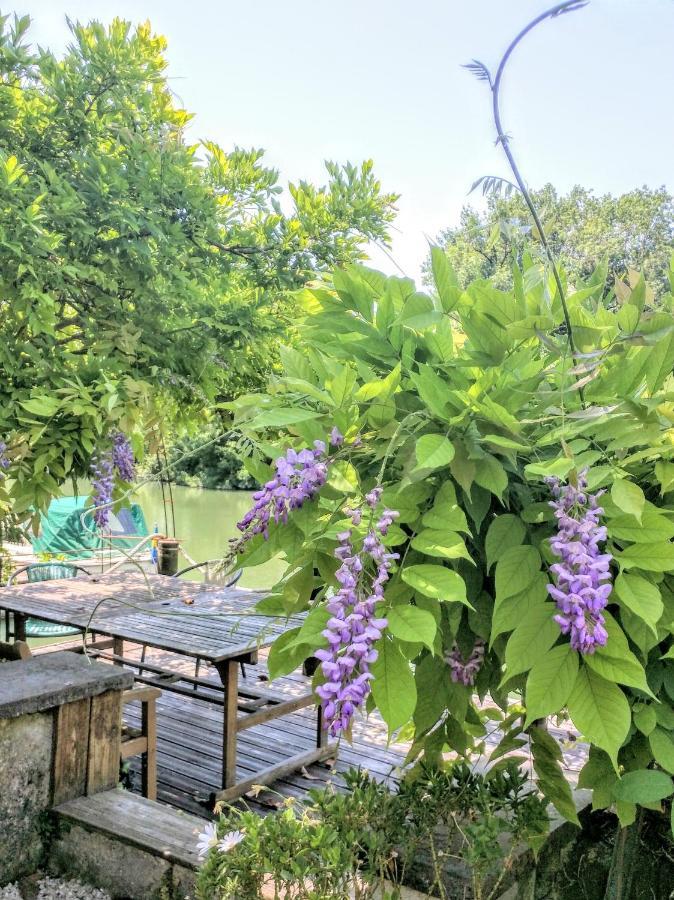 Bed and Breakfast Quai Des Fleurs Saint-Savinien Экстерьер фото
