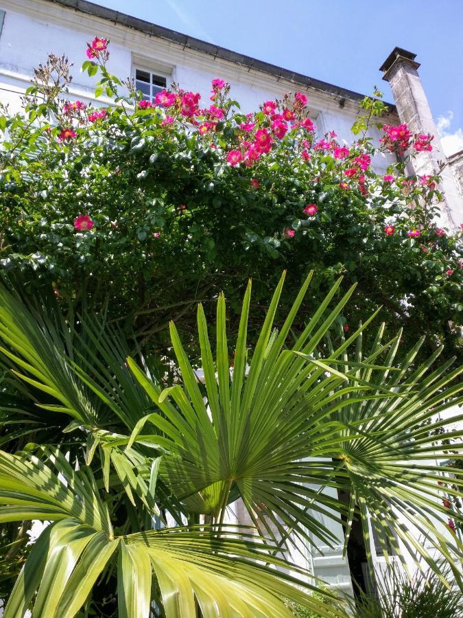Bed and Breakfast Quai Des Fleurs Saint-Savinien Экстерьер фото
